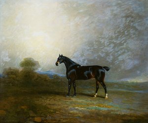 Bembo, ein Lieblingsjäger von Charles Shuttleworth, Esq., 1802 von Benjamin Marshall