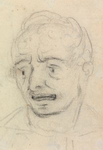 Porträtstudie eines Gesichtsausdrucks