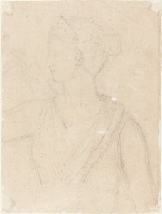 Studie der Statue der Diana im Vatikan (verso)