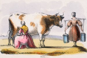 Milch, ca. 1845