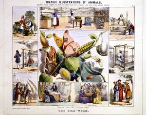 Der Seidenwurm, ca. 1850