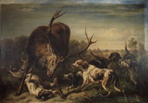 Hirsch, von Hunden gestellt