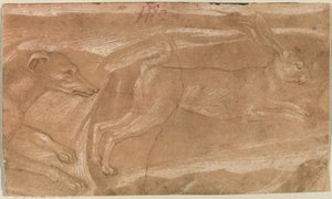 Ein Hund jagt einen Hasen von Benozzo Gozzoli