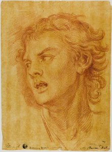 Kopf eines Jägers von Bernard Baron