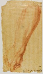 Linker Arm eines Jägers