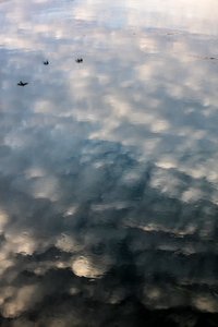 Reflexionen von Wolken und Vögeln auf der Oberfläche der Garonne in Toulouse