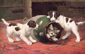 Katzenpostkarte von Bernard Cobbe