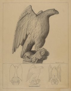 Adler