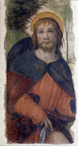 Darstellung des Heiligen Rochus. Fresko der Schule von Bernardino de Scapis, bekannt als Bernardino Luini (1485-1532). 16. Jahrhundert