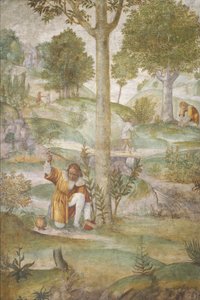 Cephalus versteckt die Juwelen, ca. 1520-1522
