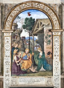 Anbetung der Hirten Fresko von Pinturicchio (Bernardino di Betto) (1454-1513) 1484-1492 Basilika Santa Maria del Popolo, Cappella Basso della Rovere, Rom, Italien