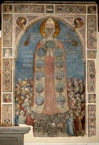 Madonna der Barmherzigkeit - Madonna della Misericordia von Bernardo Daddi (1290-1350)