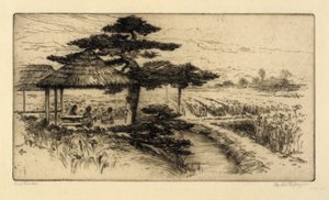 Irisgarten von Bertha E. Jaques