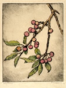 Mai-Kirschen