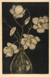Frühlingsblüten (Magnolienbaum)