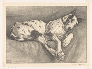 Schlafender Hund