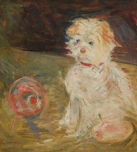 Hund mit Ballon