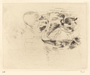 Schwäne am stehenden Wasser von Berthe Morisot