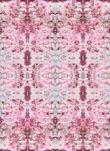Burgunderrose