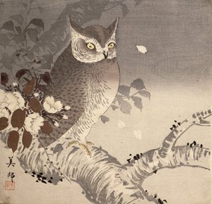 Eine Eule auf einem Baumzweig von Biho Takashi or Takahashi (b. 1873. fl 1890 1930)