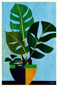Moderne Getopfte Monstera