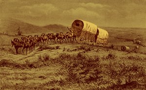 Wilder Westen - Maultierzug auf dem Weg nach Westen
