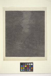 Mondscheinwald von Bolton Coit Brown