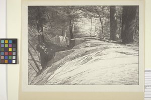 Felsen und Bäume