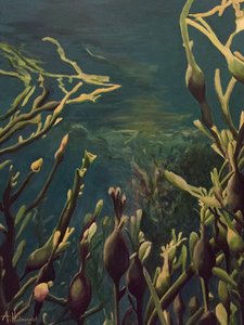 Unterwasser-Kelpwald