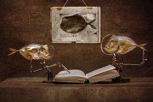 Neugierige Fischgelehrte von Brig Barkow