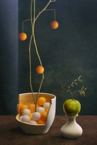 Elegantes Fruchtstillleben von Brig Barkow