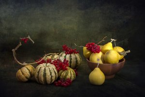 Ernte Kürbisse und Beeren von Brig Barkow