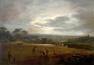 Pflügen und Bohnen säen von British School