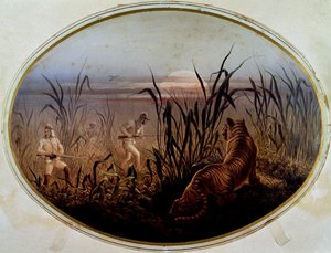 Tigerjagd unter Führung des britischen Militärs