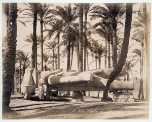 Eine Statue von Memphis liegt in einem Palmengarten in Ägypten - Fotografie von den Zangali-Brüdern, späte 19. Jahrhundert von Brothers Zangaki