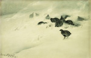 Moorhuhn im Schneesturm