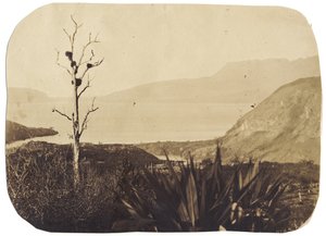 See und Mount Tarawera von Te Wairoa, 1860