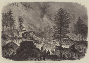 Großes Feuer im Wald von Fontainebleau