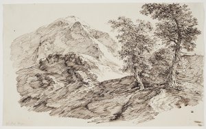 Berglandschaft mit Bäumen