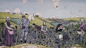 Unsere Winzer unter Beschuss geerntet, die Ernte in der Champagne-Region im Jahr 1914, Erster Weltkrieg, Frankreich, 20. Jahrhundert von J.B. and Brown J. Rowbotham