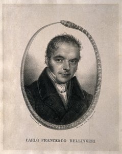 Carlo Francesco Bellingeri. Lithographie nach Camilla Gandolfi, 1839. Biografie auf Italienisch