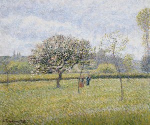 Apfelbaum in Blüte in Eragny, 1888 von Camille Jacob Pissarro