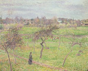 Apfelbäume auf einer Wiese bei Eragny, 1894 von Camille Jacob Pissarro
