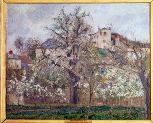 Frühling, Pflaumenblüten in Pontoise