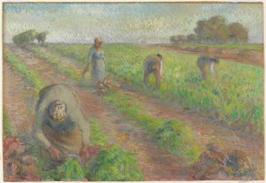 Die Rübenernte (La Récolte des betteraves), 1881 von Camille Jacob Pissarro