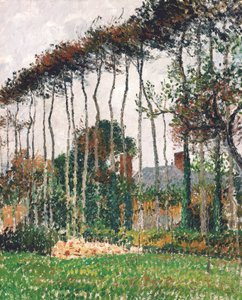 Die großen Rotbuchen in Varengeville von Camille Pissarro