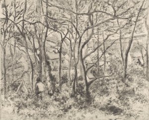Die Wälder von L