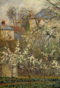 Gemüsegarten und blühende Bäume im Frühling in Pontoise