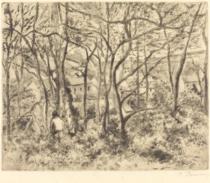 Waldlandschaft bei L