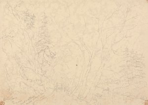 Holne Chase, 30. Mai 1833